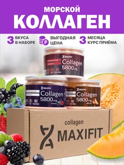 Морской коллаген порошок для суставов max-fit 236197245 купить за 973 ₽ в интернет-магазине Wildberries