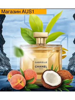 Chanel Paris Cabrielle