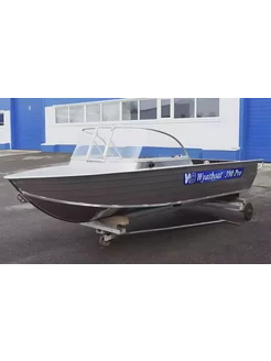 Моторная лодка Wyatboat-390 Pro