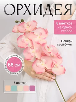 Орхидея 236224371 купить за 307 ₽ в интернет-магазине Wildberries