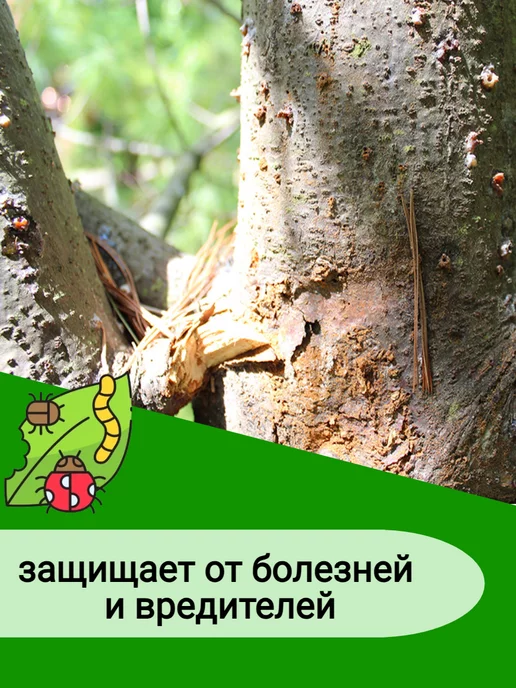 GOLDBASTIK Краска для деревьев садовых побелка лечебная 3,4кг, 3 кг, фото 7