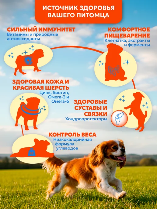 Сухой корм PET’S BRUNCH для собак, мелкие, курица, 1 кг, фото 2