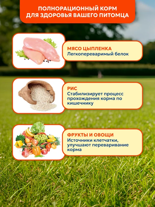 Сухой корм PET’S BRUNCH для собак, мелкие, курица, 1 кг, фото 3