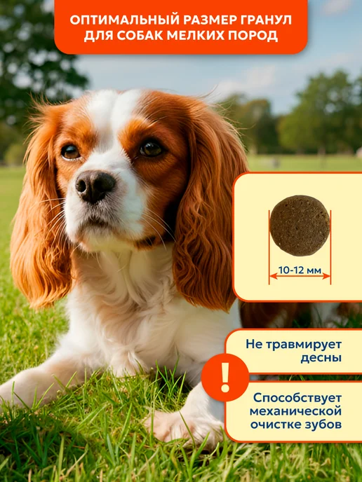 Сухой корм PET’S BRUNCH для собак, мелкие, курица, 1 кг, фото 5