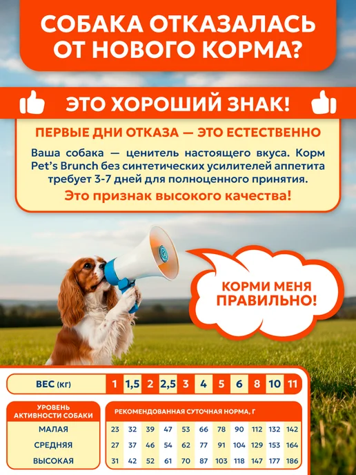 Сухой корм PET’S BRUNCH для собак, мелкие, курица, 1 кг, фото 7