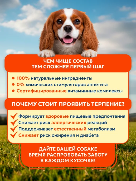 Сухой корм PET’S BRUNCH для собак, мелкие, курица, 1 кг, фото 8