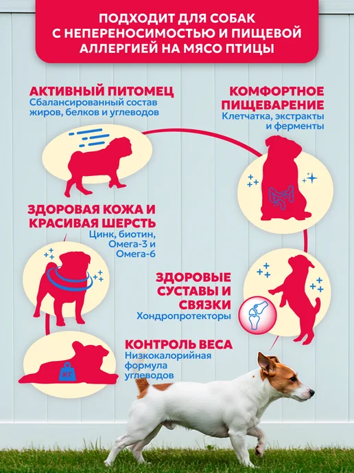 Сухой корм PET’S BRUNCH для собак, мелкие, телятина, 4 кг, фото 2
