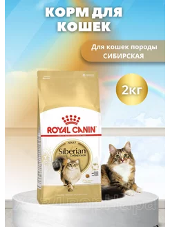 Корм сухой Siberian для кошек Сибирская 2 кг Royal Canin 236329413 купить за 2 782 ₽ в интернет-магазине Wildberries