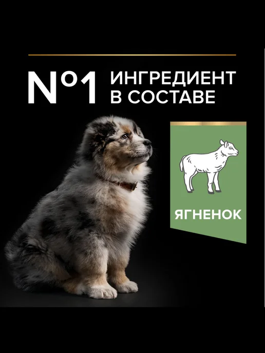 Сухой корм PRO PLAN Пищеварения для собак, щенки, ягненок, 3 кг, фото 4