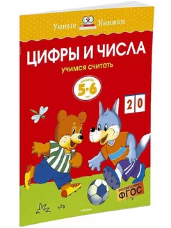 Цифры и счет 5-6 лет. Учимся считать