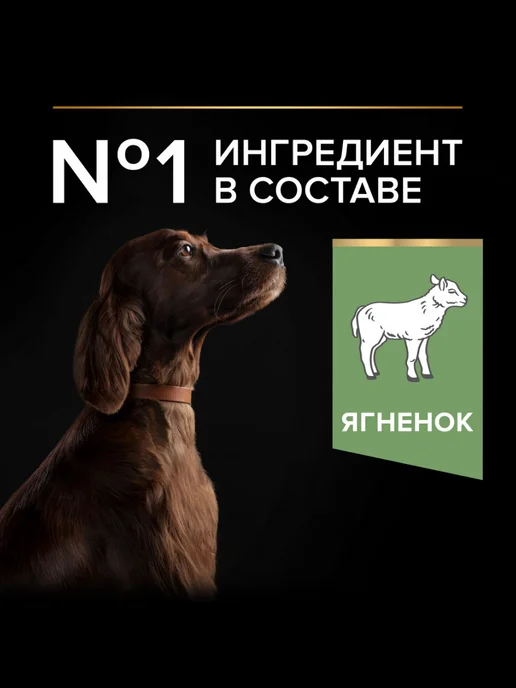 Сухой корм PRO PLAN Атлетов для собак, ягненок, 3 кг, фото 3