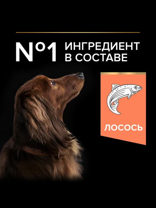 Сухой корм PRO PLAN для собак, мелкие, чувствительное пищеварение, щенки, 3 кг, фото 3