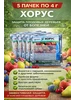 Хорус фунгицид для растений ЭкоДАЧА 236413422 купить за 379 ₽ в интернет‑магазине Wildberries