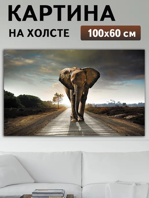 Mollyn Home Картина интерьерная на холсте