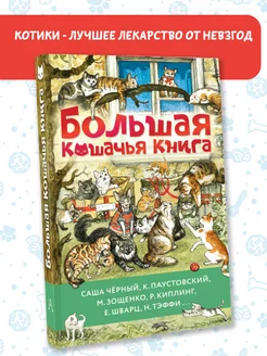 Большая кошачья книга