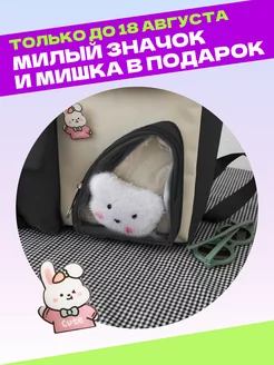 Рюкзак школьный детский портфель . Цвет черный. Вид 3.
