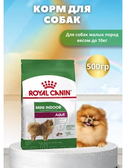 Сухой корм для собак мини индор 500гр Royal Canin 236616384 купить за 931 ₽ в интернет-магазине Wildberries