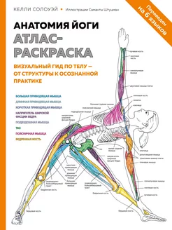 Анатомия йоги атлас-раскраска. Визуальный гид по телу