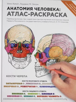 Анатомия человека атлас-раскраска