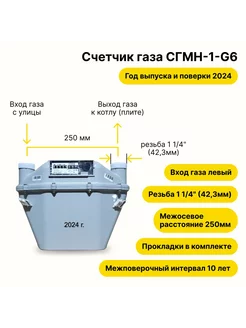 Счетчик газа СГМН-1-G6 250мм