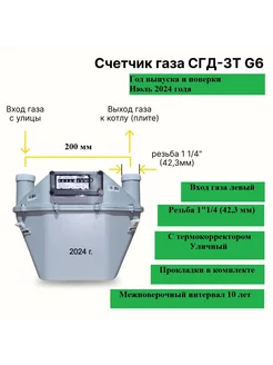 Счетчик газа СГД-3Т-G6 уличный с термокорректором 200 мм