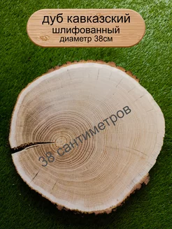 Спил срез слэб дерева дуб ЦЕХ 26 236681612 купить за 2 430 ₽ в интернет-магазине Wildberries