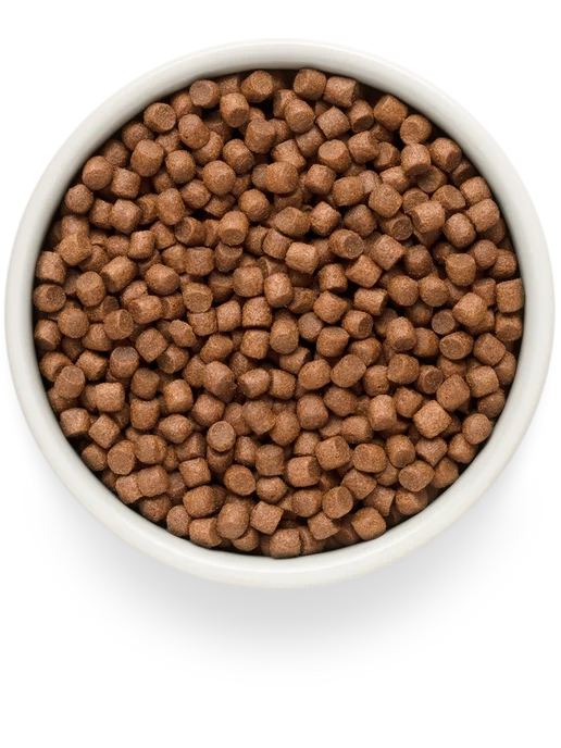 Сухой корм Grandorf fresh Филе Бататом для собак, мелкие, лосось, 1 кг, фото 2