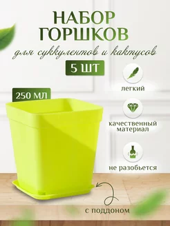 Горшок для суккулентов