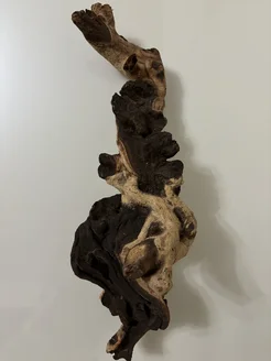 Коряга натуральная Темная Drift wood 42 см