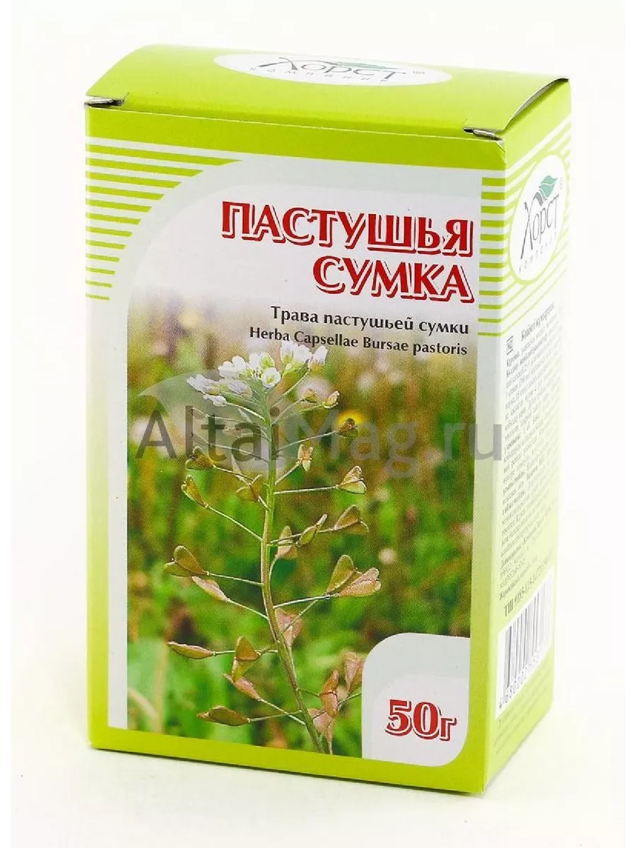 Пастушья сумка трава