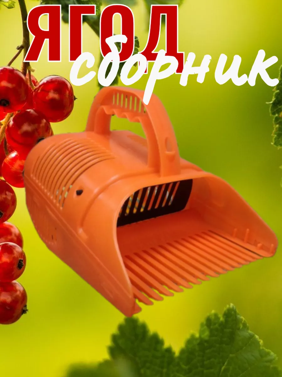 Ягодосборник,...