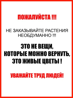 Құлдық порнода аяқтарыңызбен жүріңіз