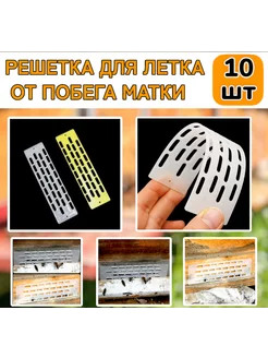 10шт! Решетка для летка от побега матки Dreambee 236971430 купить за 331 ₽ в интернет‑магазине Wildberries