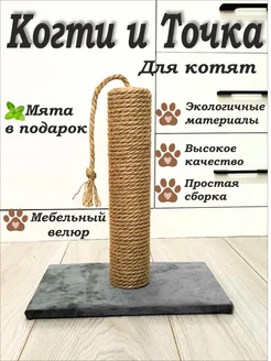 Когтеточка для кошки