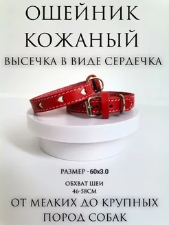 Ошейник кожаный для собак