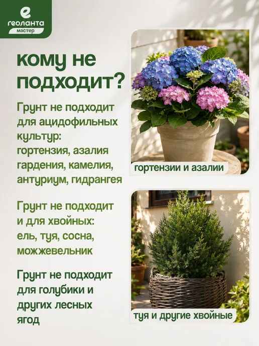 Земля для цветов комнатных, грунт 25 литров, Земля цветов торф нейтральный, фото 7