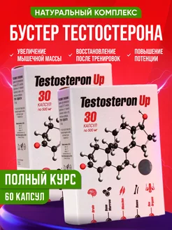 Тестостерон. Testosteron Up. Курс тестостерона 2 шт