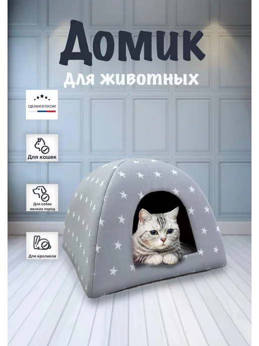 Кошки Мира