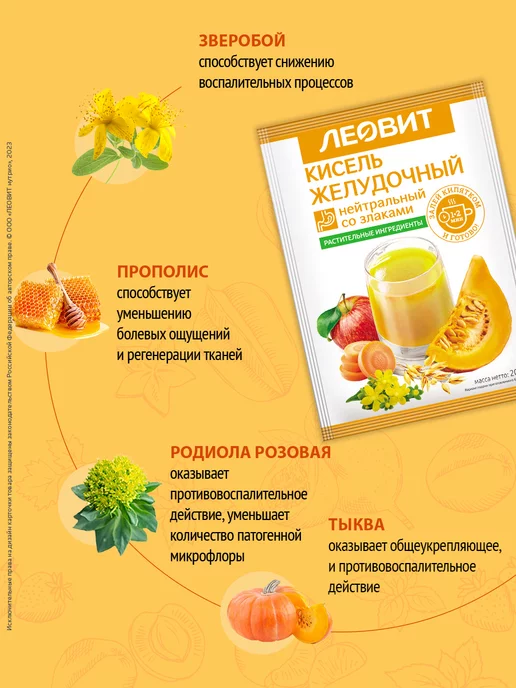 ЛЕОВИТ Кисель Желудочный в пакетиках быстрорастворимый 10 шт, 10 шт, фото 4