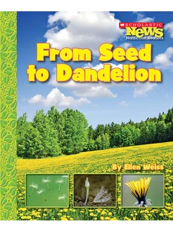 From Seed to Dandelion Книга на Английском