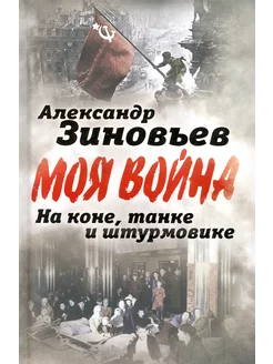 На коне, танке и штурмовике. Записки воина-философа