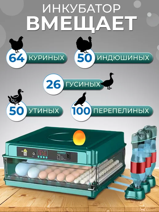 WQ Инкубатор для яиц автоматический с переворотом 64 яйца, голубой, фото 2