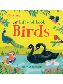 Kew. Lift and Look Birds Книга на Английском