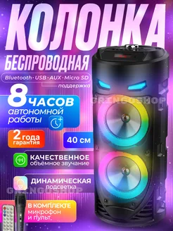 Колонка музыкальная беспроводная караоке