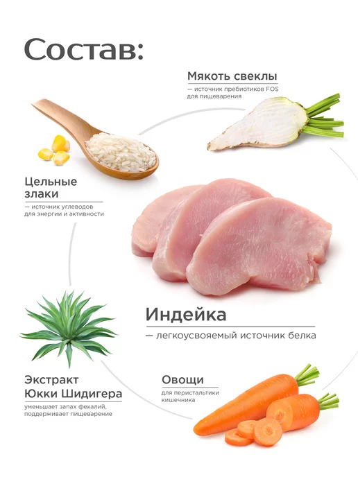 Сухой корм QUATTRO Очень Зубов для собак, крупные, индейка, 2,5 кг, фото 3