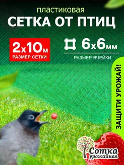 Сетка пластиковая от птиц 6х6 (2 х 10м)