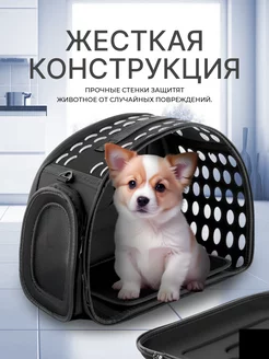 Переноска для кошек и собак сумка до 6 кг Pet Oasis 237302393 купить за 1 354 ₽ в интернет-магазине Wildberries