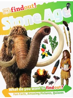 Stone Age Книга на Английском