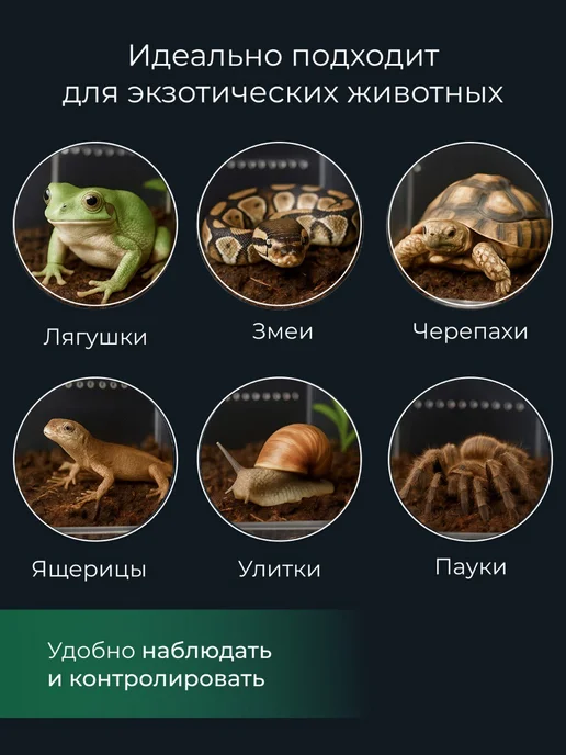 Суперзу Рыбка для рептилий и черепах красноухих 1 л лакомство, 1 л, фото 7