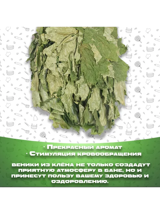 Банная История Веники для бани и сауны Кленовые, 2 штуки (пара), 2 шт, фото 3